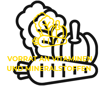 Vorrat an Vitaminen und Mineralstoffen 