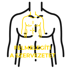 Felmelegíti a szervezetet