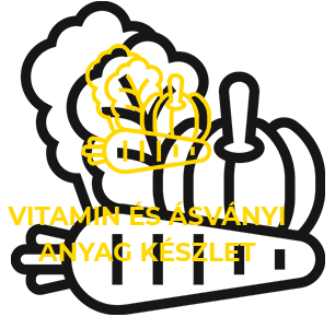 Vitamin és ásványi anyag készlet