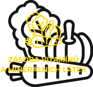 Ginger Shot je zásoba vitamínů a minerálních látek