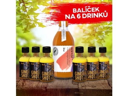 1x nektar 300ml + 6x ginger shot 50ml
