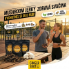 Mashroom Jerky marketing 1