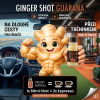 Zázvoráček Guarana 3