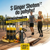 S Ginger Shotem do pohybu 3