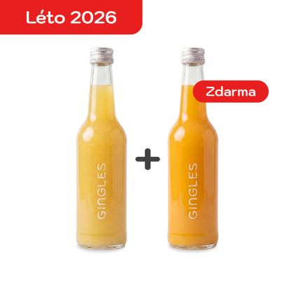 1+1 leto akce