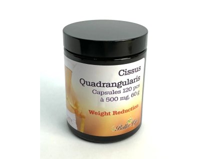 Cikusan 120, 500 mg, 120 kapsułek – spalacz tłuszczu, skuteczny w odchudzaniu, 60000 mg