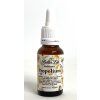 Propolium – Frankincense & Propolis Double Shot Tincture, 20 ml