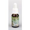 Lupulium Tincture – double strength, 20 ml