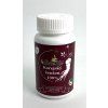 Koreanischer Ginseng – 100 Kapseln, 33,3 g