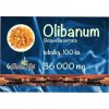 Olibanum kapsułki 100 szt. po 360 mg, 36 g