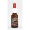 Ligustrin, extract, double strength, 20 ml
