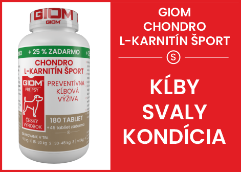 GIOM Chondro L-karnitín ŠPORT
