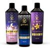 Giovani EXPERIENCE MIX fordelspakke 500ml