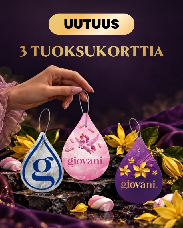 Auton ilmanraikastimet