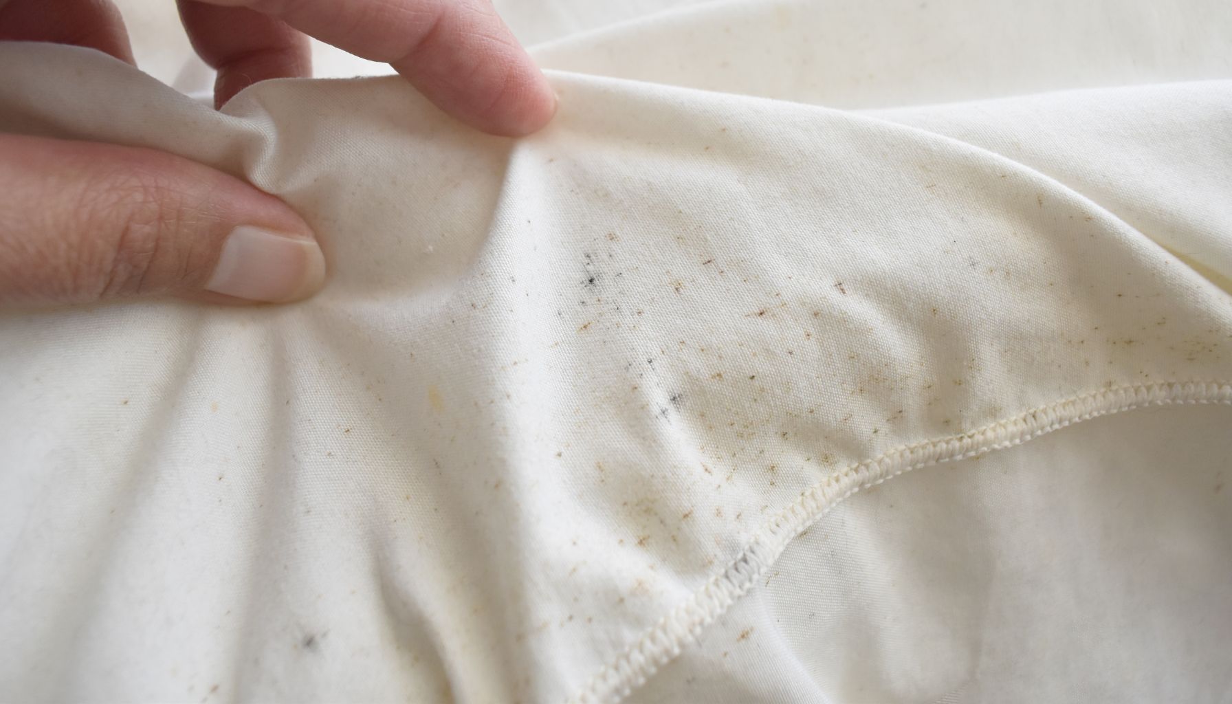 Kaip pašalinti pelę iš drabužių?