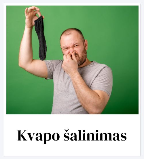 Pašalina kvapus