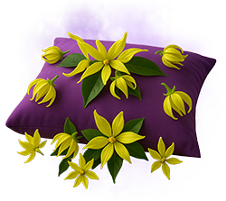 Essência premium para máquina de lavar YLANG-YLANG