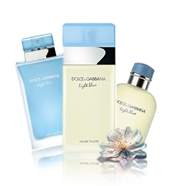 Dolce Gabbana Perfume Light Blue