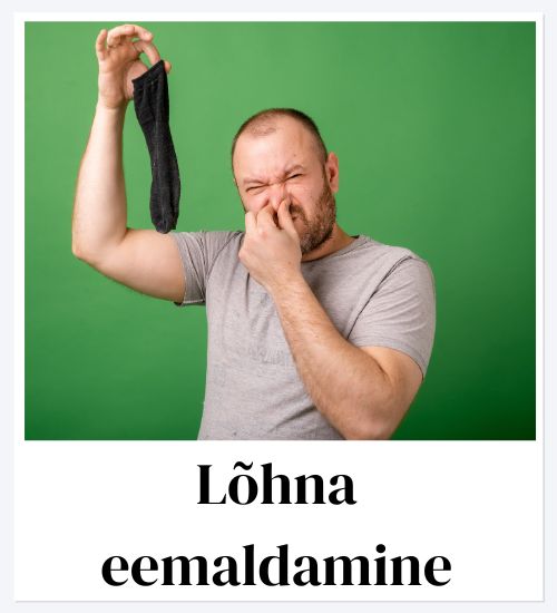 Plekkide eemaldamine