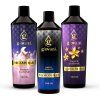 Ugodni parfumski paket EXPERIENCE MIX 500 ml