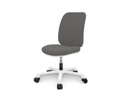 ŽIDLE K PSACÍMU STOLU - COMFORT GREY/ WHITE