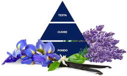 felce_azzurra_lavanda_e_iris_profumo,png