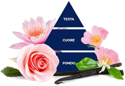 felce_azzurra_rosa_e_loto_profumo,png