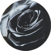 spuma_nero_puro_black_rose_mini