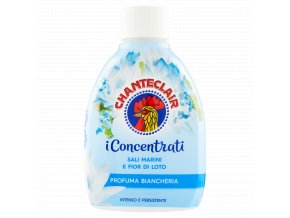 Chante patfem sali.jpg