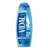 Vidal sprchový gel Polar Ice, 500 ml