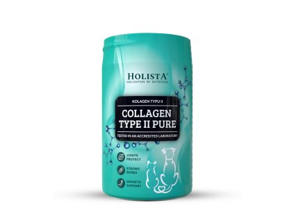 Holista Collagen Type II 200g WB
