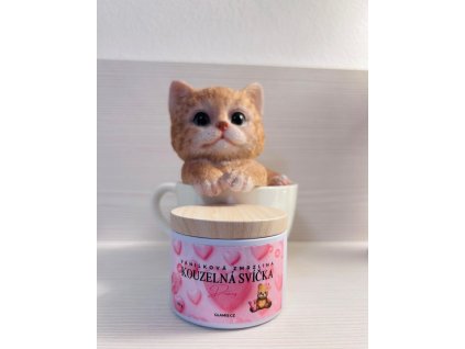 WhatsApp Image 2026 01 26 at 11.06.27