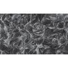 Brassica Dark (Funkcia Vinyl on textured non-woven fabric craft)