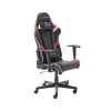 DX RACER P188 62186 NR seitlich frei EB 369 20T grob