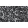 Brassica Dark (Funkcia Vinyl on textured non-woven fabric craft)
