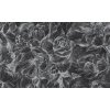 Brassica Dark (Funkcia Vinyl on textured non-woven fabric craft)