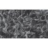 Brassica Dark (Funkcia Vinyl on textured non-woven fabric craft)