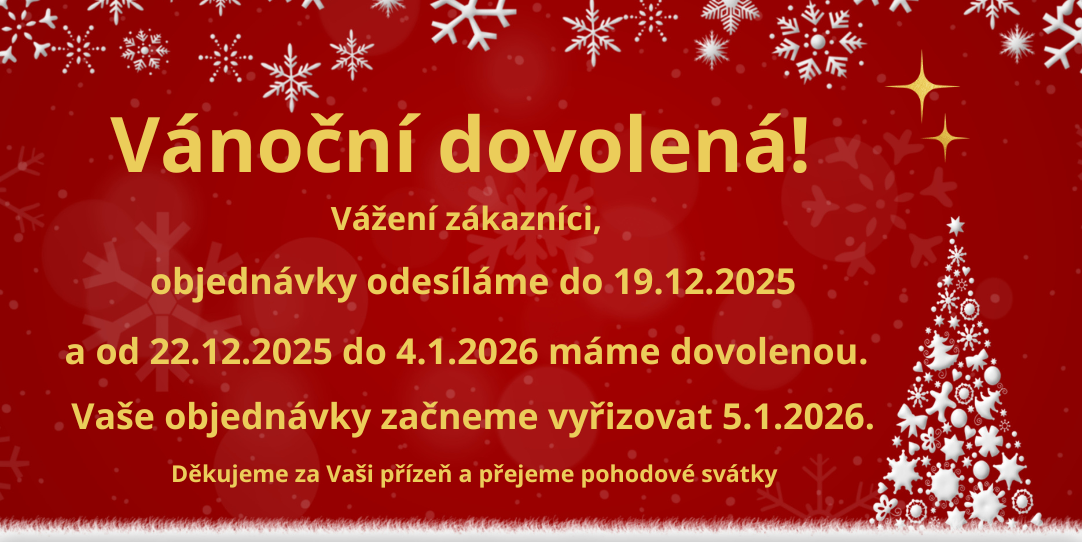 Vánoční dovolená