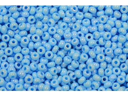 Seed beads 10/0 64020