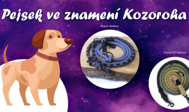 Psí horoskop - Kozoroh (22. 12. - 20. 1.)