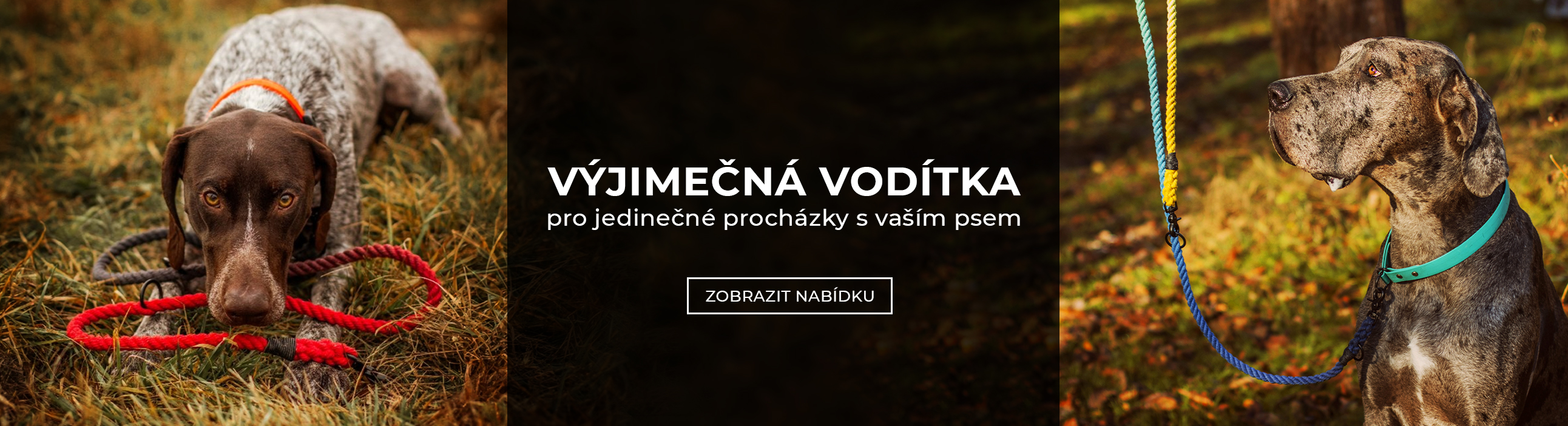 Výjimečná vodítka pro jedinečné procházky