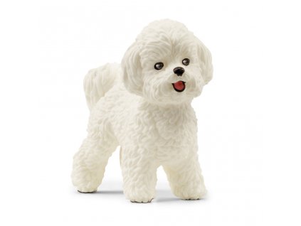 13963 SCHLEICH - Bišon frisé