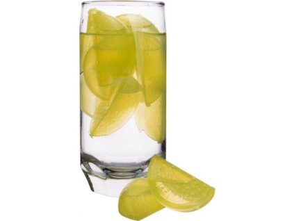 Screenshot 2025 07 01 at 15 20 07 Forma na led ledové kostky citron VseNaVareni.cz