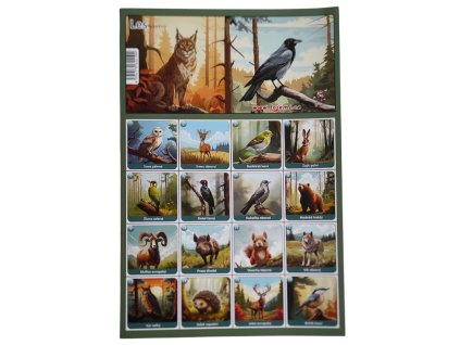 Screenshot 2025 11 04 at 15 55 15 Pexeso Les Bambule Království hraček Photoroom