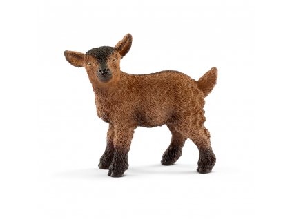 13829 SCHLEICH - kůzle