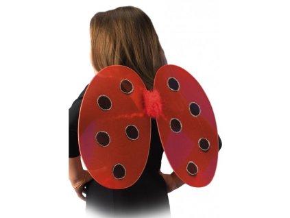 05360 1 ali coccinella Křídla beruška