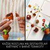 lego botanicals 10329 miniaturni roasdfstliny