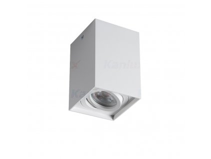 Svítidlo přisazené GORD XS DLP-50-W Kanlux 25477