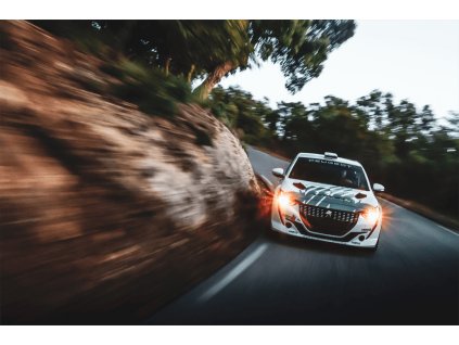 66 assembled peugeot 208 rally4 tarmac or gravel specification