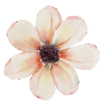 Po dohoření rozkvetlou zahradou